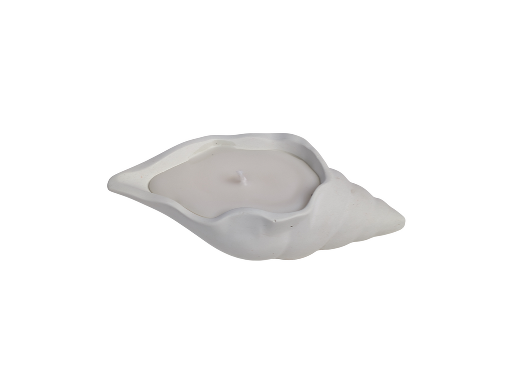 Sculptural Shell Candle - Serenity Cove