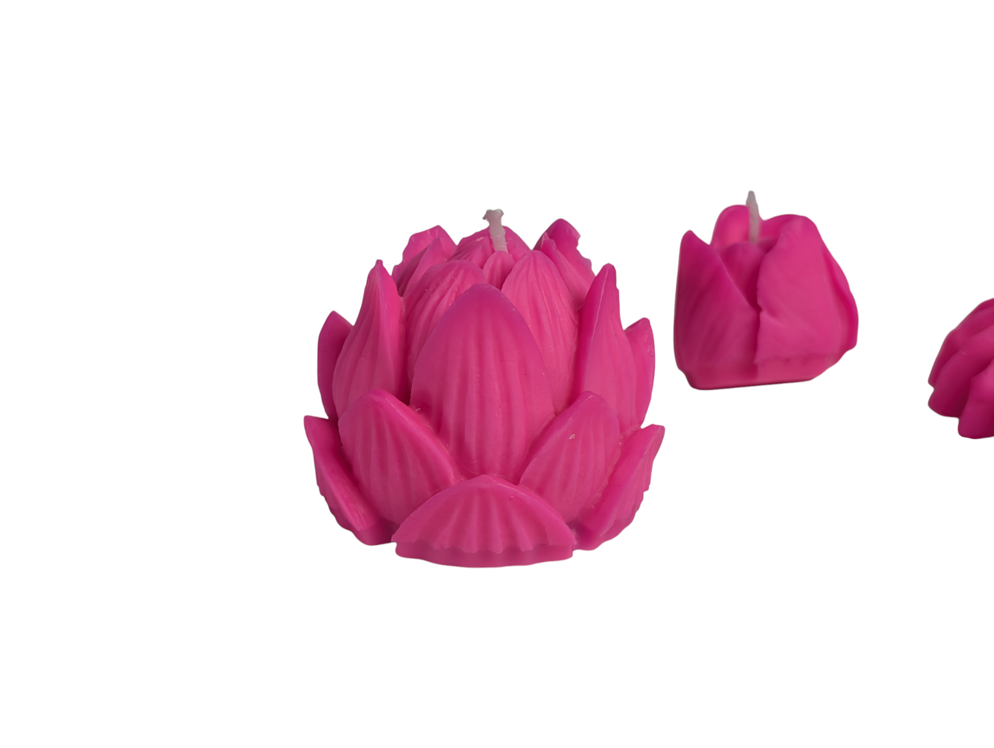 Floral - Rosaline Bloom